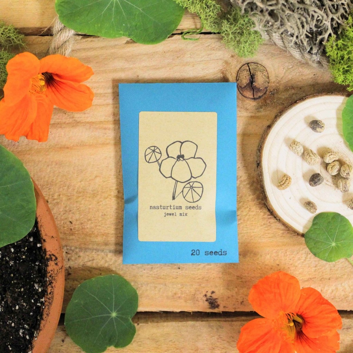 Nasturtium Seeds Plantflix