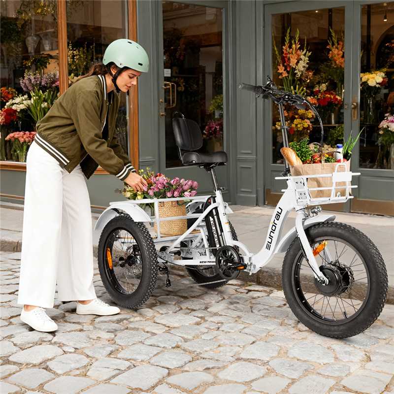 NEW-TRIKE 2.0 EUNORAU E-BIKE US