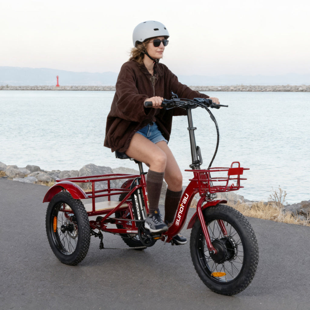 NEW-TRIKE 2.0 EUNORAU E-BIKE US