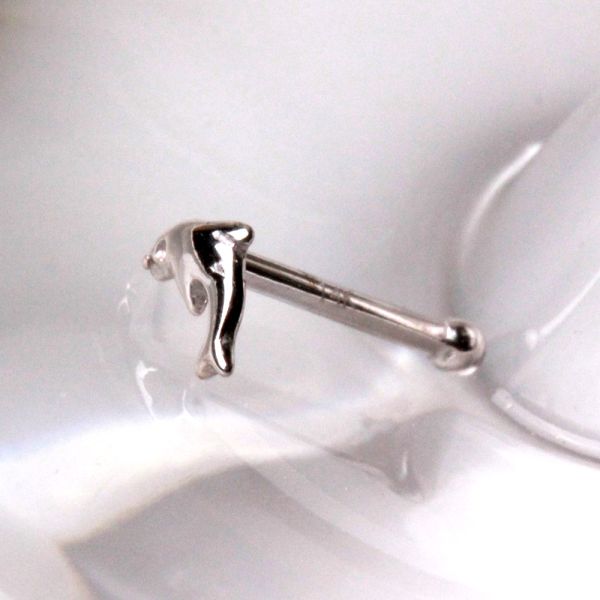 14Kt White Gold Stud Nose Ring with a Dolphin Fashion Hut Jewelry