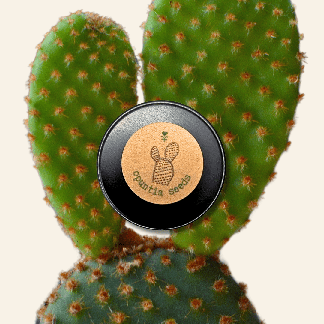 Opuntia Mix "Prickly Pear" Seeds Plantflix