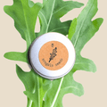 Organic Arugula Seeds Plantflix