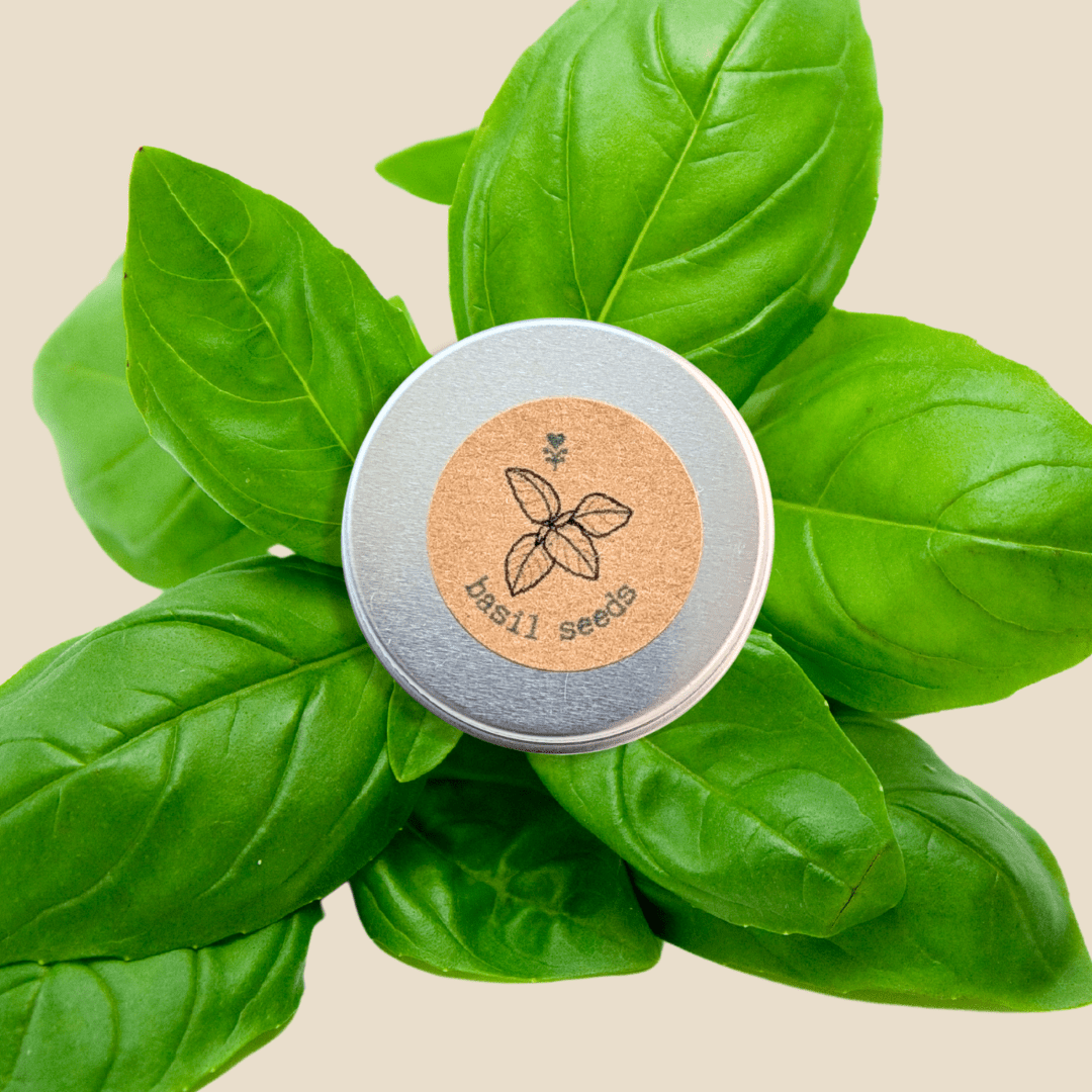 Organic Basil Seeds Plantflix