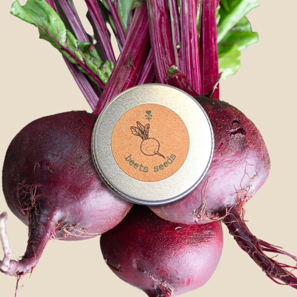 Organic Beet Seeds Plantflix