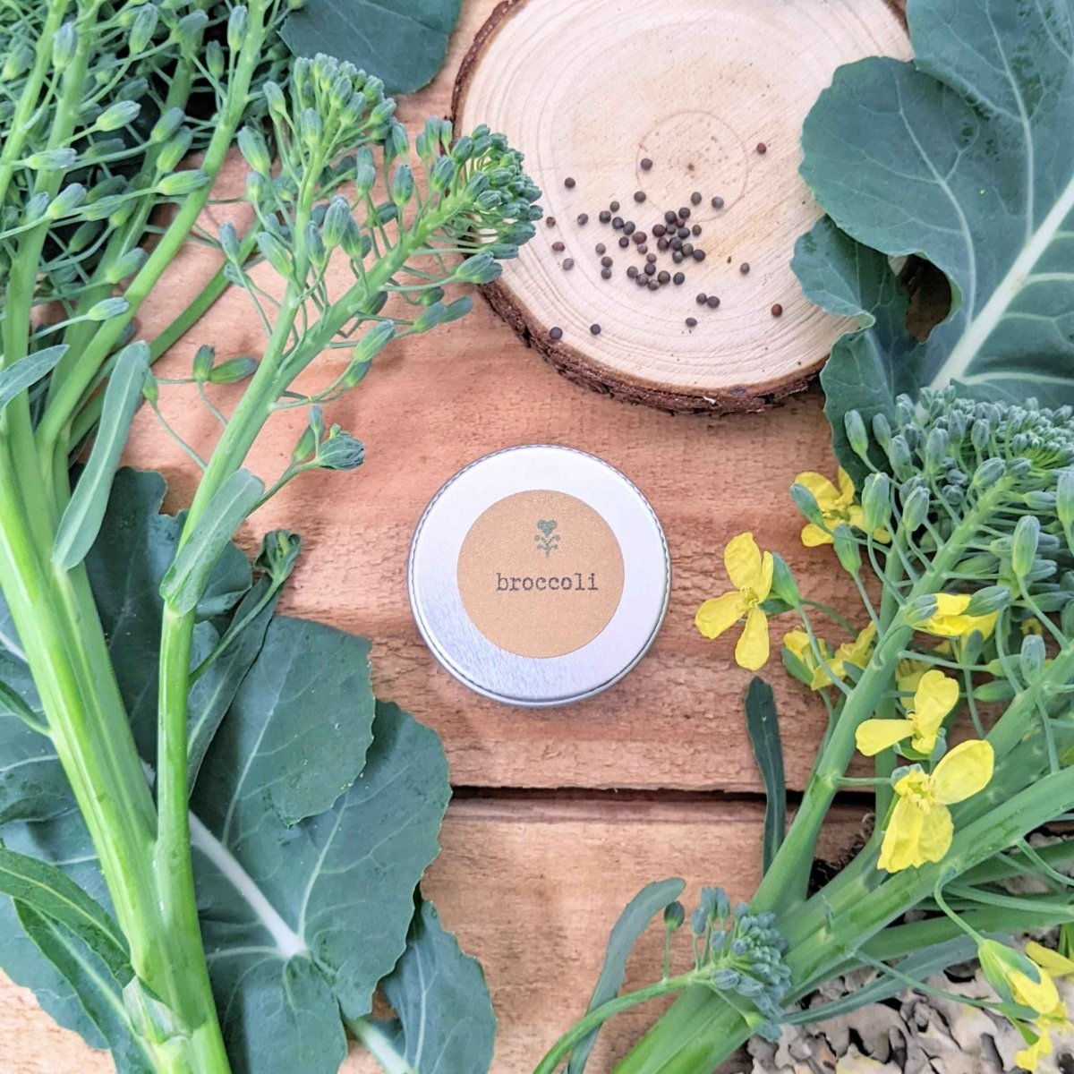 Organic Broccoli Seeds Plantflix