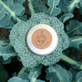 Organic Broccoli Seeds Plantflix