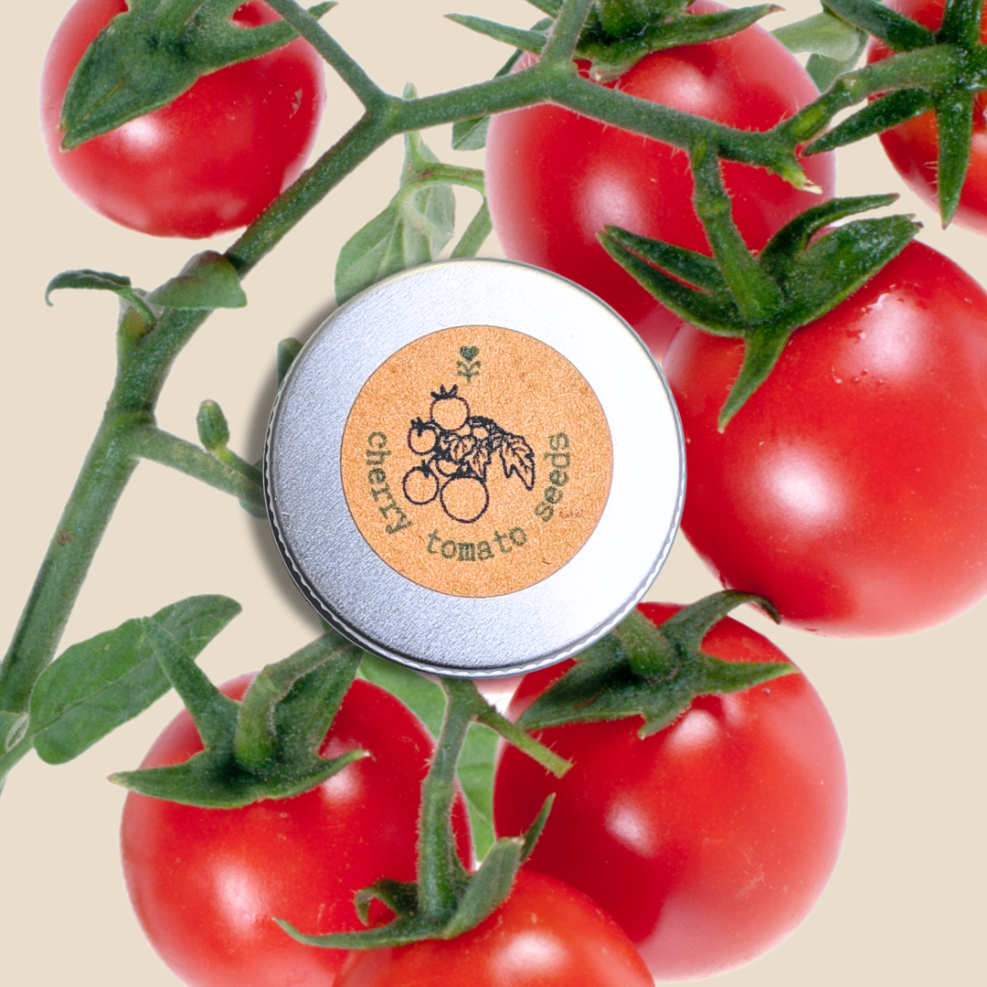 Organic Cherry Tomato Seeds Plantflix