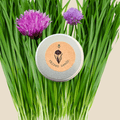 Organic Chives Seeds Plantflix