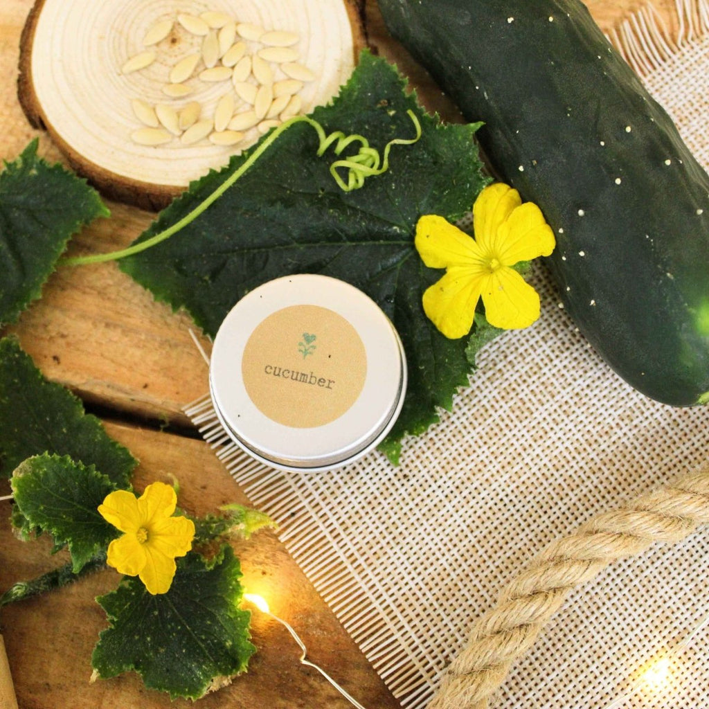 Organic Cucumber Seeds Plantflix