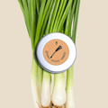 Organic Green Onion Seeds Plantflix