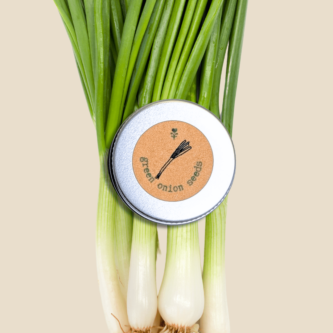 Organic Green Onion Seeds Plantflix