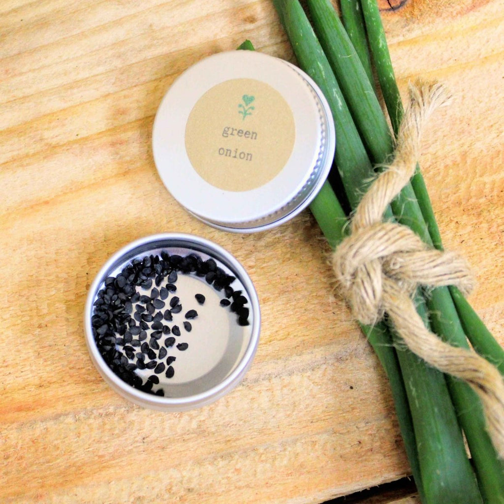 Organic Green Onion Seeds Plantflix