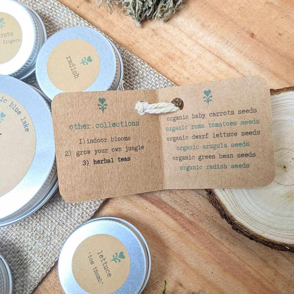Organic 'Indoor Veggies' Seed Collection Plantflix