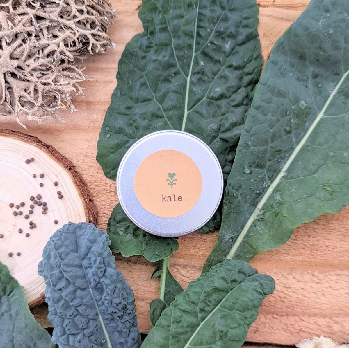 Organic Kale Seeds Plantflix