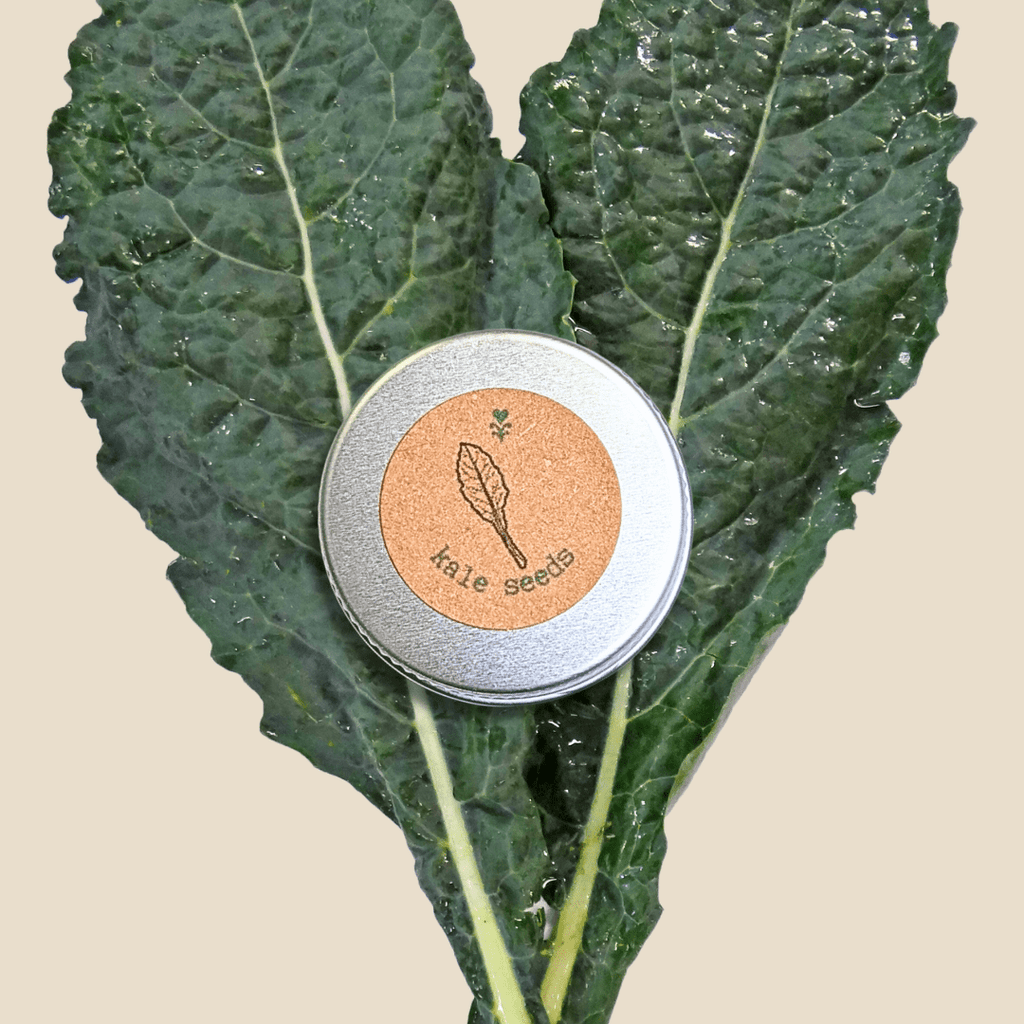 Organic Kale Seeds Plantflix