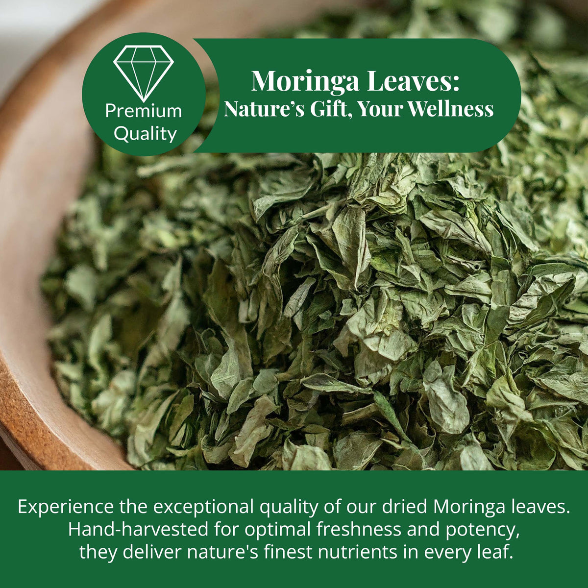Akshit Moringa (Oleifera) Tea Leaves – Herbal Tea, 100% Natural Moringa Leaves, Boosts Energy & Immunity - 2.6 oz Akshit