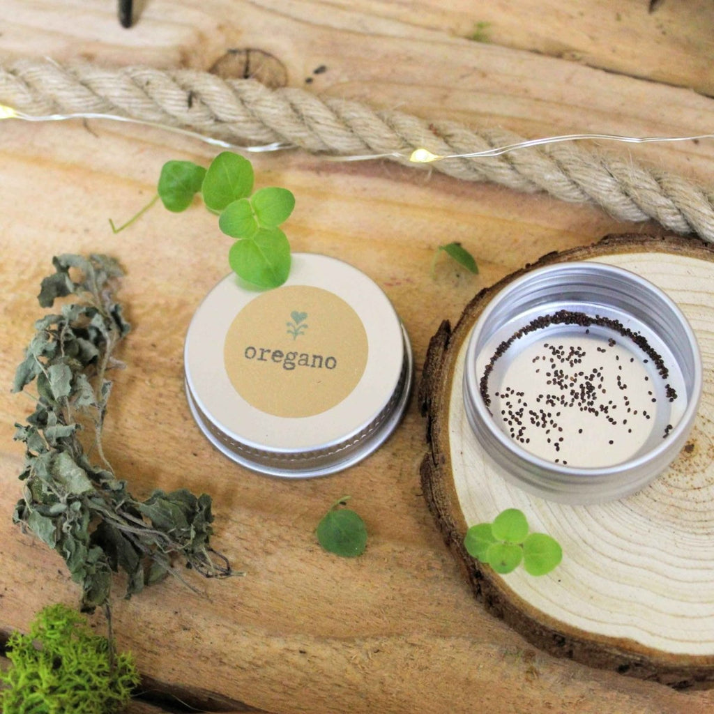 Organic Oregano Seeds Plantflix