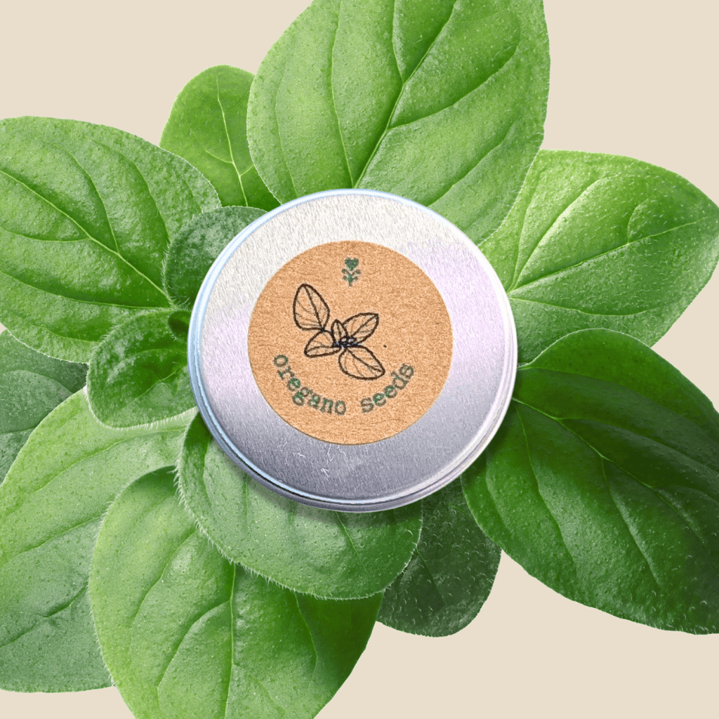 Organic Oregano Seeds Plantflix