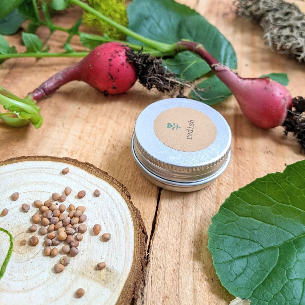 Organic Radish Seeds Plantflix