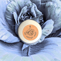 Organic Red Cabbage Seeds Plantflix