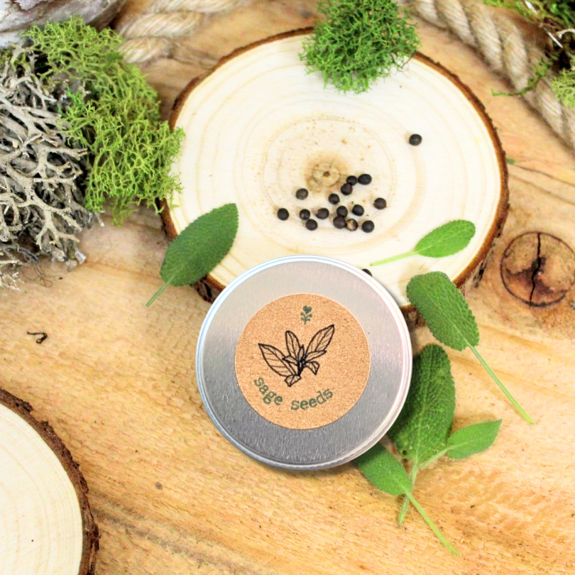 Organic Sage Seeds Plantflix