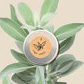 Organic Sage Seeds Plantflix