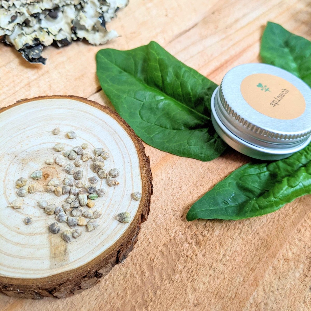 Organic Spinach Seeds Plantflix