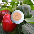 Organic Sweet Pepper Seeds Plantflix