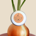 Organic Yellow Onion Seeds Plantflix