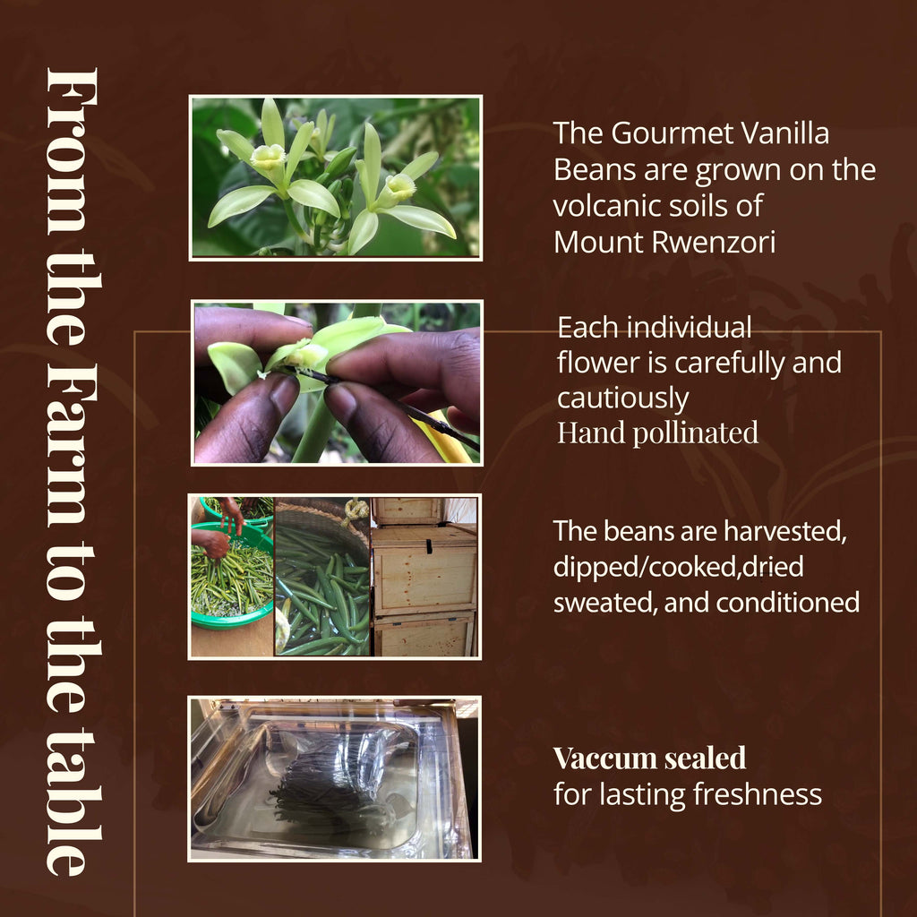 Vanilla Beans Grade A – Whole Bulk Vanilla Pods for Baking & Extracts | Non-GMO Akshit