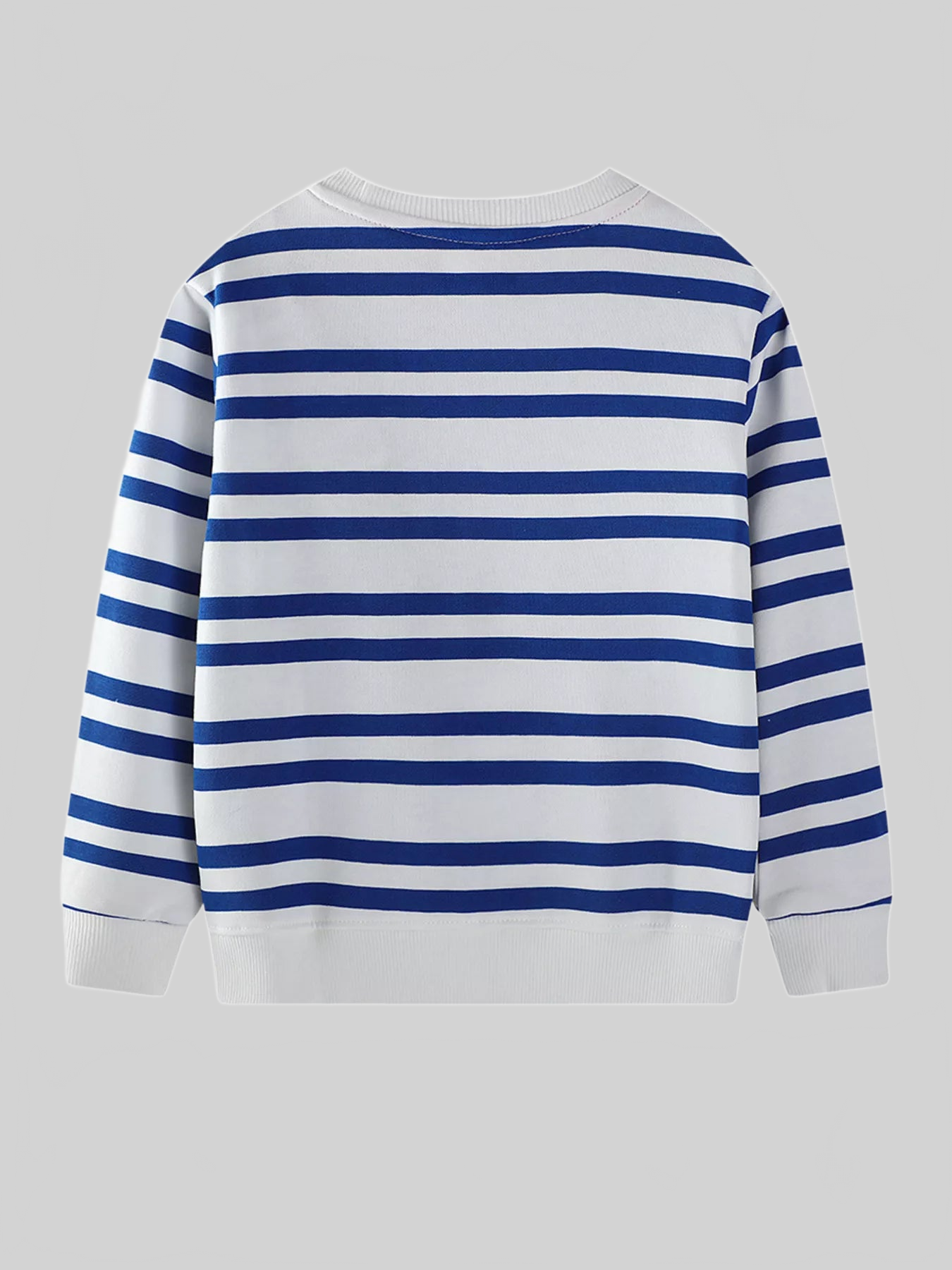 Toddler Boys Striped Animal Adventure Embroidered Sweatshirt NicholesGifts