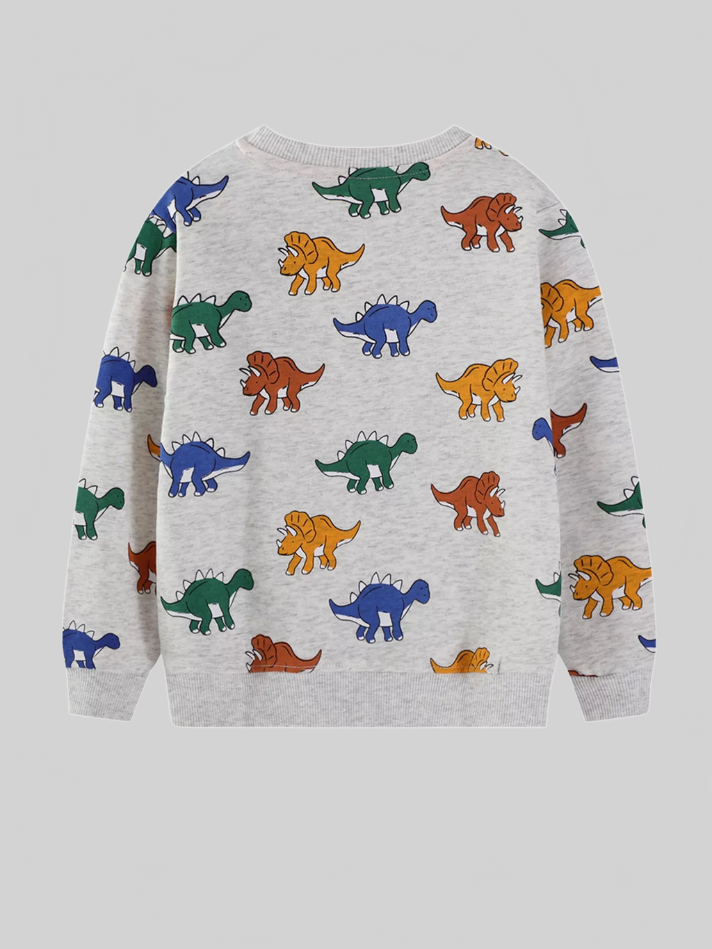 Toddler Boys Dinosaur Print Crew Neck Sweatshirt NicholesGifts