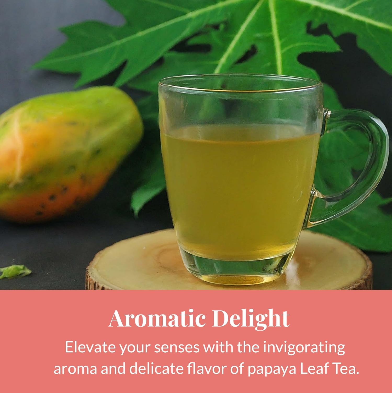 Papaya Leaf Tea Bags 75 Count – Caffeine-Free Herbal Tea for Immunity & Digestion Akshit