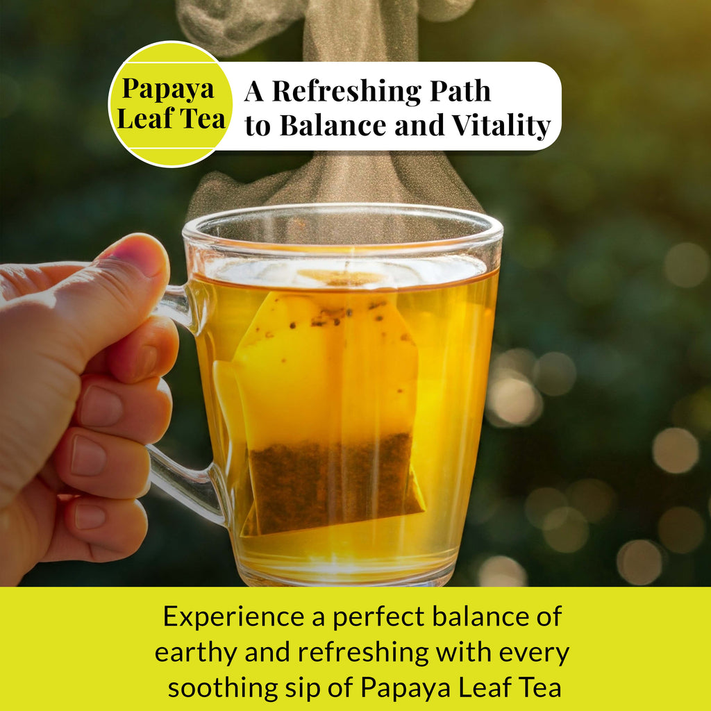Papaya Leaf Tea Bags 75 Count – Caffeine-Free Herbal Tea for Immunity & Digestion Akshit