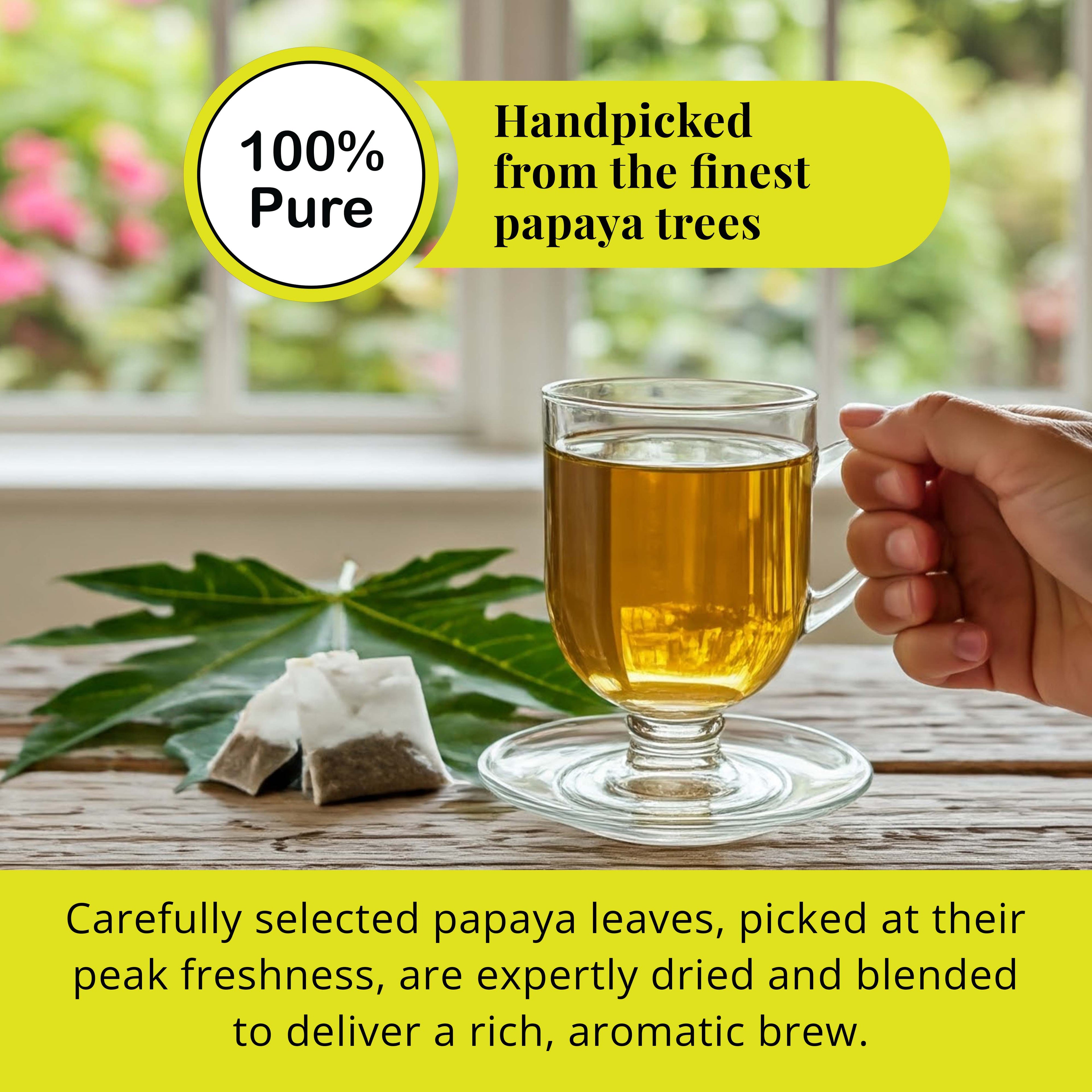 Papaya Leaf Tea Bags 75 Count – Caffeine-Free Herbal Tea for Immunity & Digestion Akshit