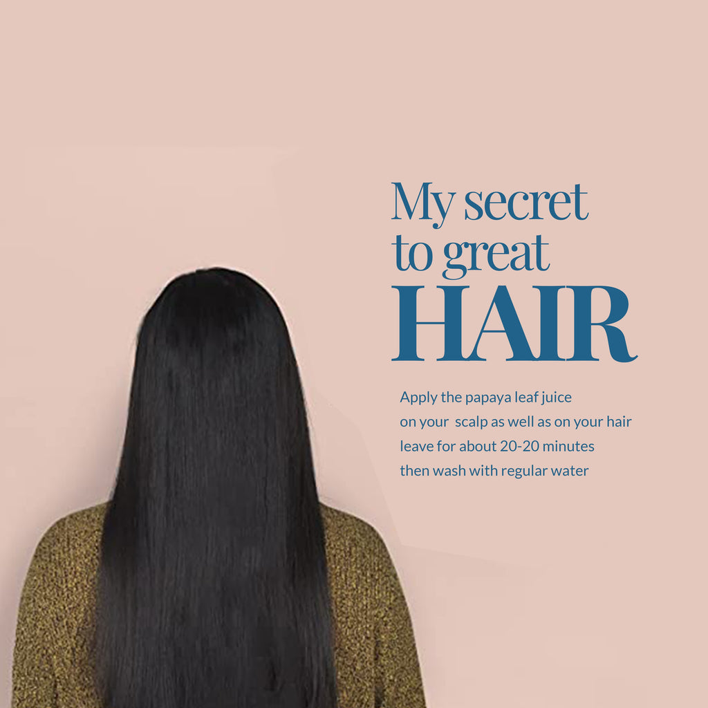 Akshit Papaya Leaves, Hojas de papaya, 2.6oz, Dried Papaya Leaf, Herbal Tea, Non GMO, Caffeine free, Sugar free, Rich In Vitamins. Akshit