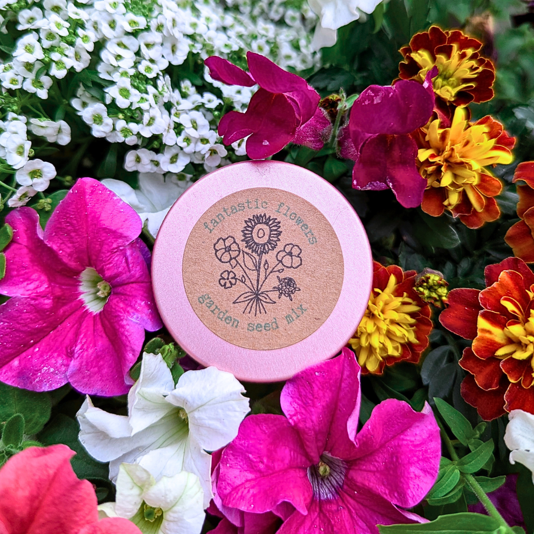 "Patio Flower Garden" Seed Mix Plantflix