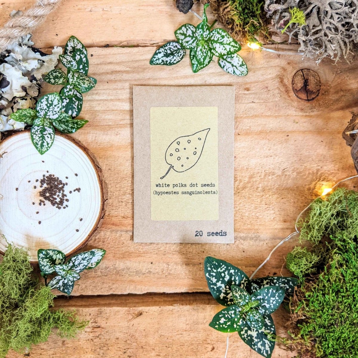 "Pet-Friendly" Houseplant Seed Collection Plantflix