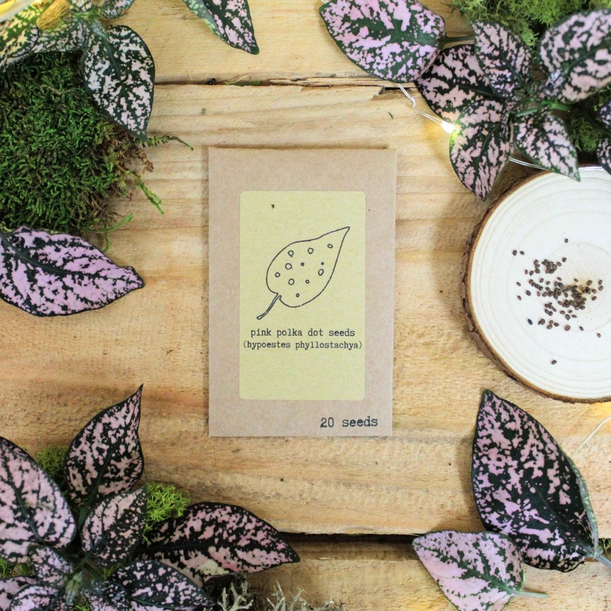 "Pet-Friendly" Houseplant Seed Collection Plantflix