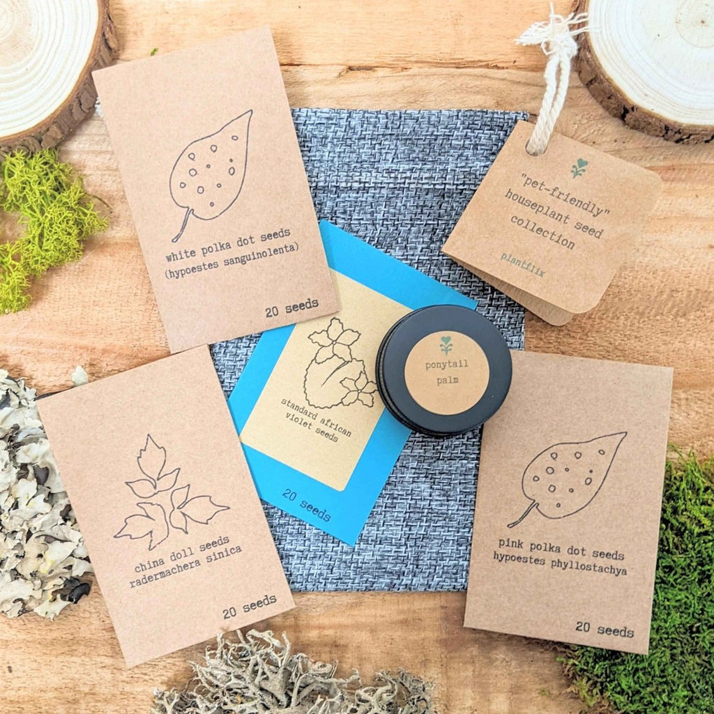"Pet-Friendly" Houseplant Seed Collection Plantflix
