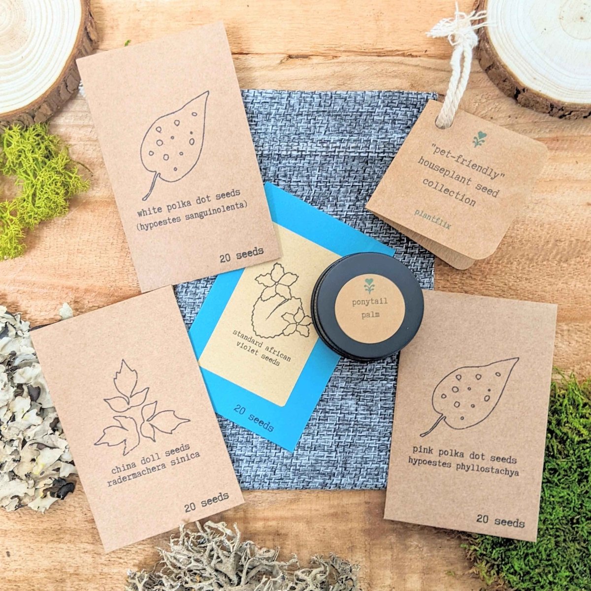 "Pet-Friendly" Houseplant Seed Collection Plantflix