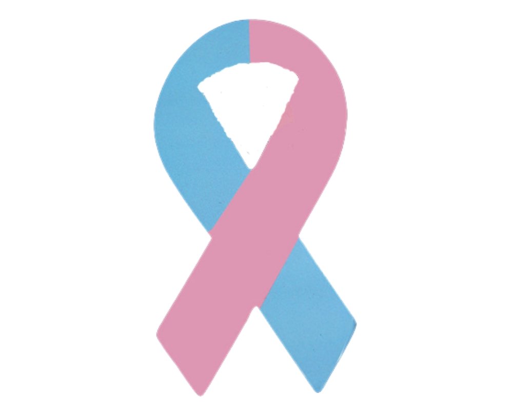 Pink & Blue Ribbon Magnets The Awareness Company