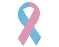 Pink & Blue Ribbon Magnets The Awareness Company