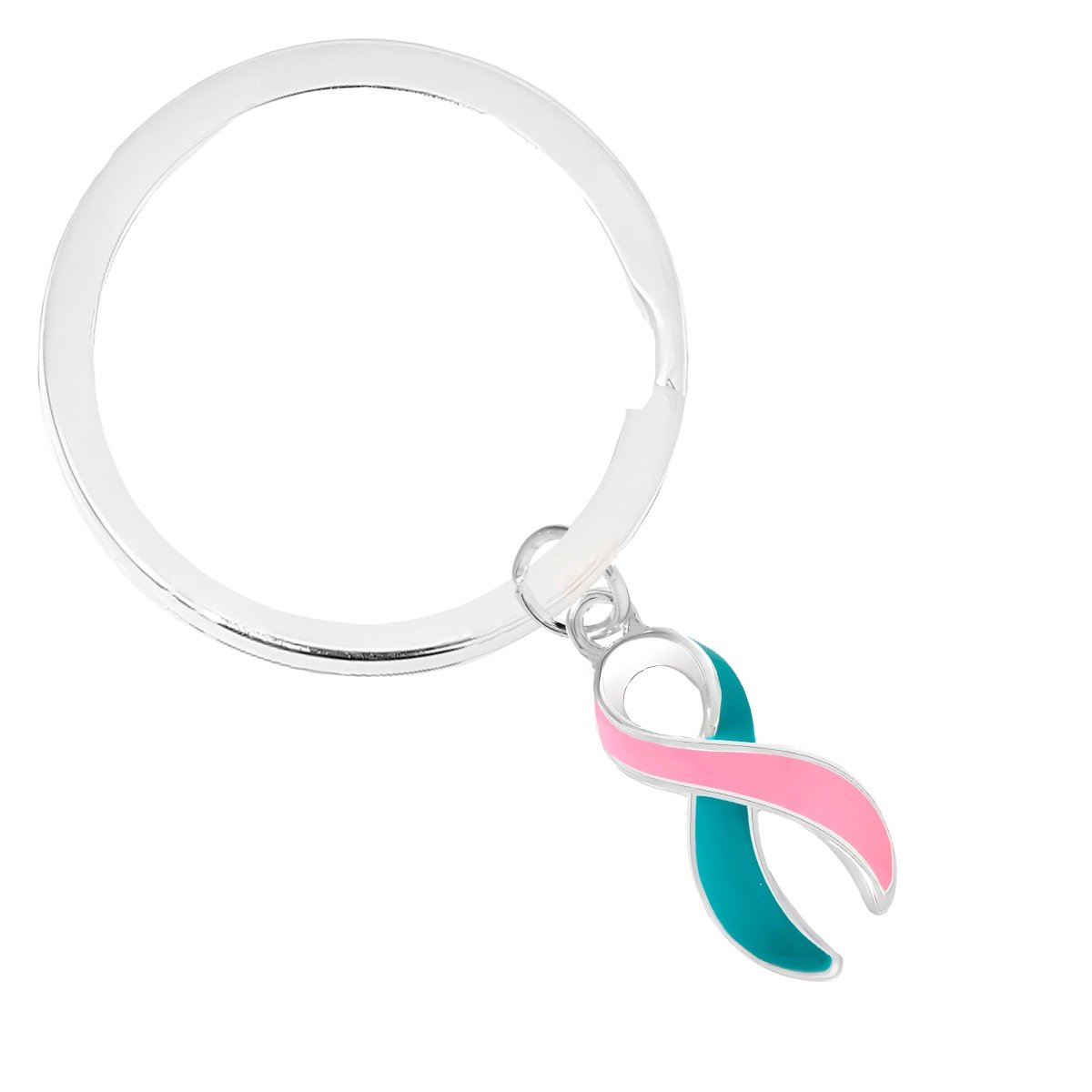 Pink & Teal Ribbon Horseshoe Key Chains The Awareness Company