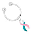 Pink & Teal Ribbon Horseshoe Style Key Chains The Awareness Company