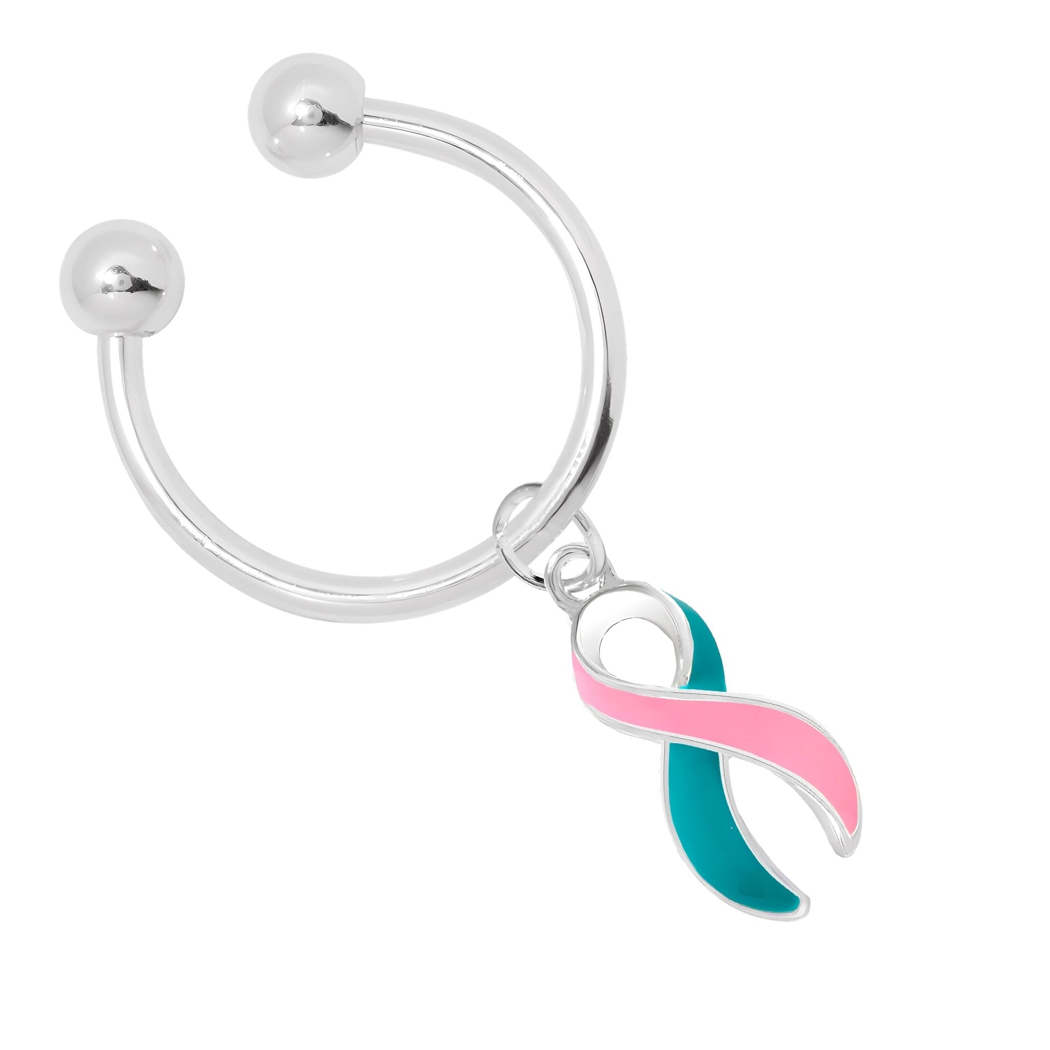 Pink & Teal Ribbon Horseshoe Style Key Chains The Awareness Company