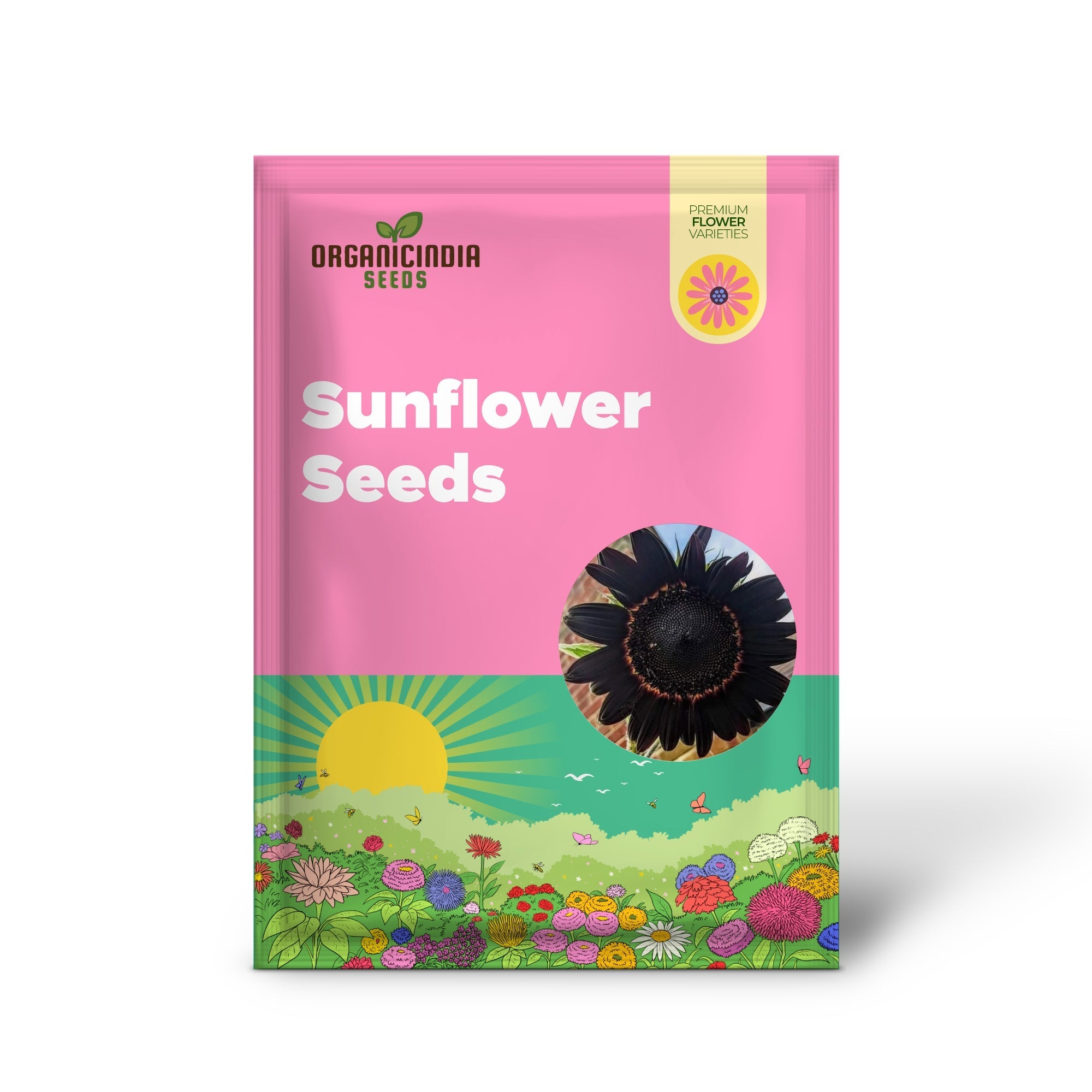 Fresh Deep Black Sunflower Seeds for Garden Planting organicindiaseeds