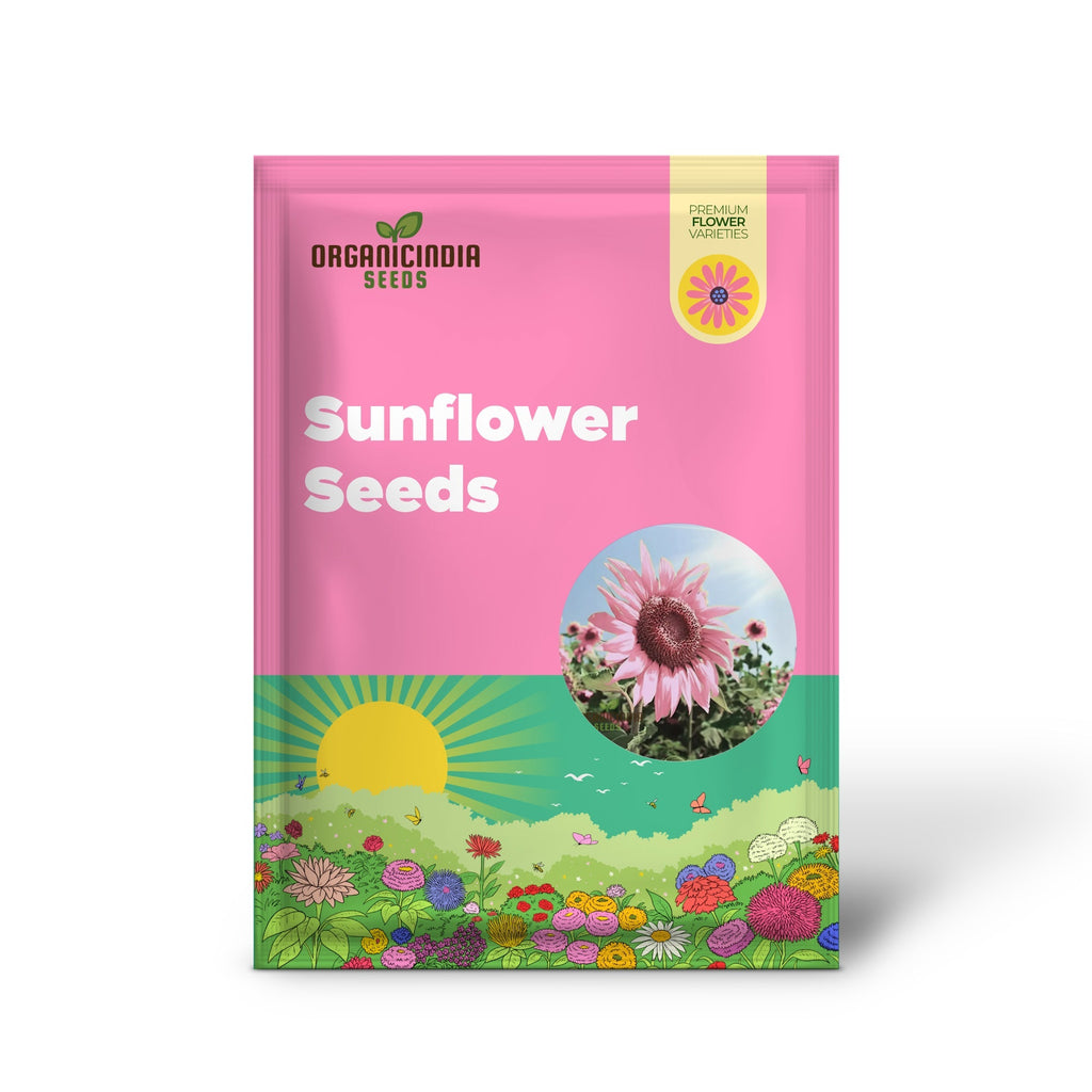 Premium Pink Sunflower Seeds, Vibrant Blooms for Garden Planting Easy to Grow, Attract Pollinators organicindiaseeds