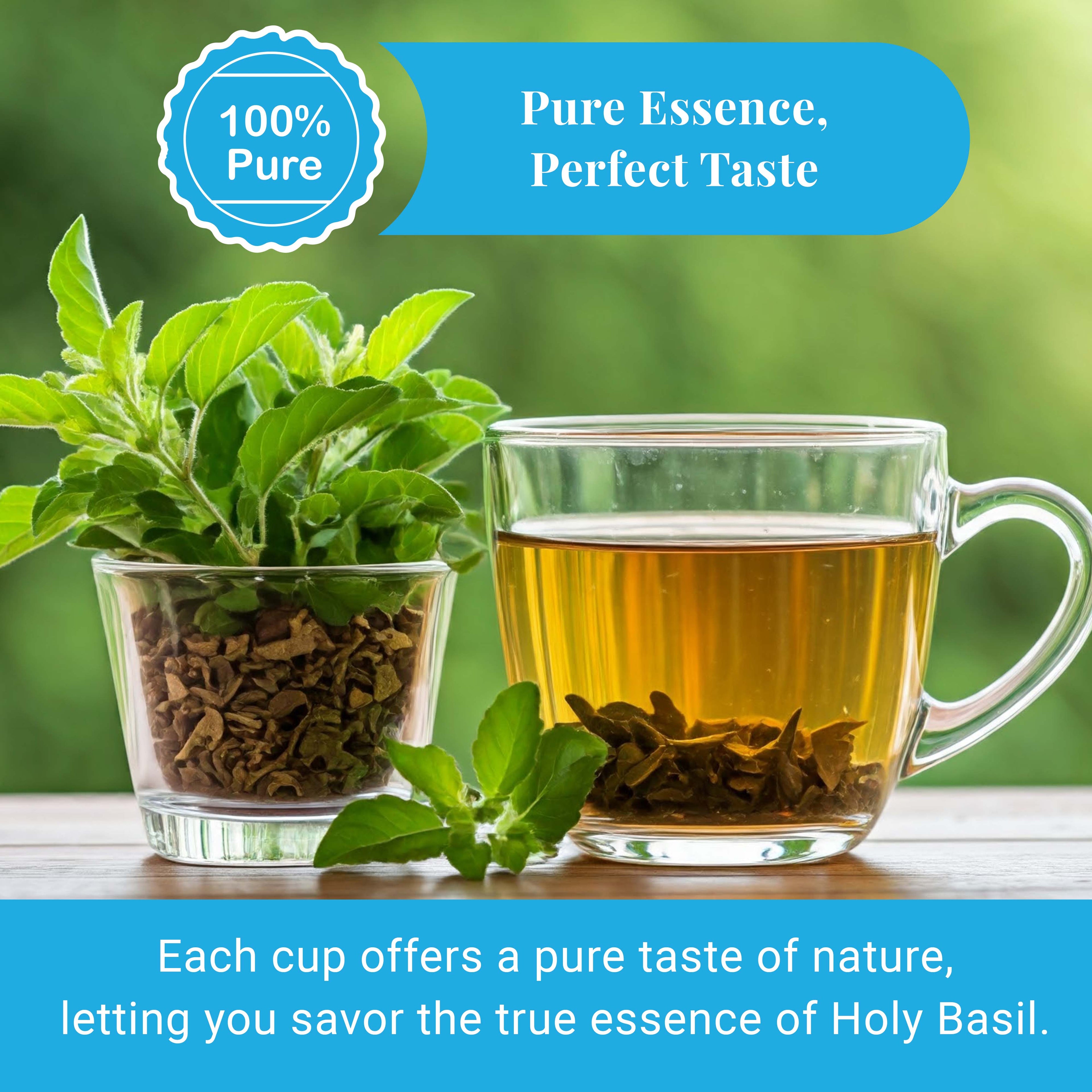 Akshit Dried Tulsi / Holy Basil Leaves | Tulsi Tea | Holy Basil Tea - 2.6oz Akshit