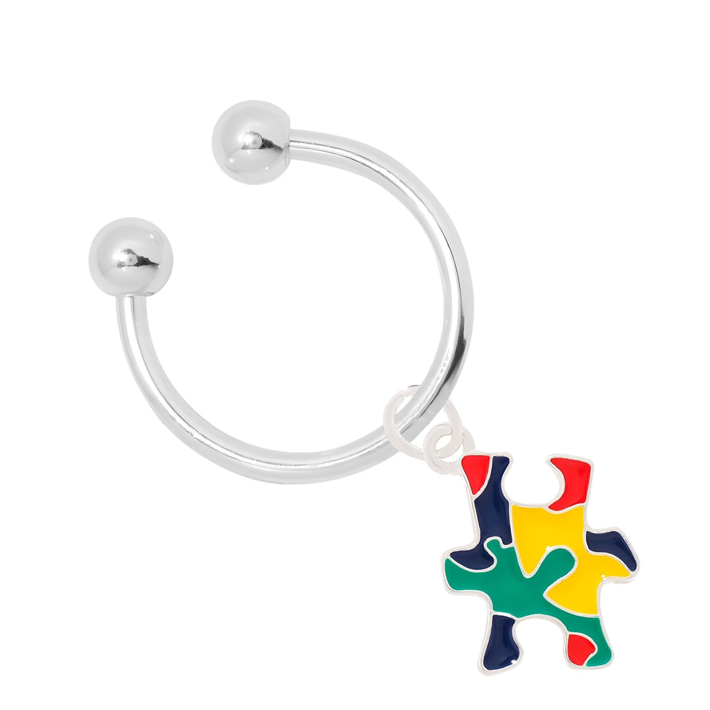 Puzzle Piece Autism Awareness Horseshoe Key Chains The Awareness Company